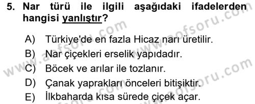 Bahçe Tarımı 2 Dersi 2016 - 2017 Yılı 3 Ders Sınavı 5. Soru