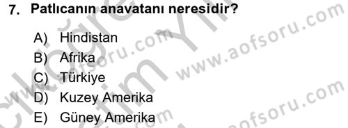 Bahçe Tarımı 2 Dersi 2016 - 2017 Yılı 3 Ders Sınavı 7. Soru