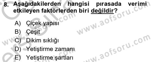 Bahçe Tarımı 2 Dersi 2016 - 2017 Yılı 3 Ders Sınavı 8. Soru