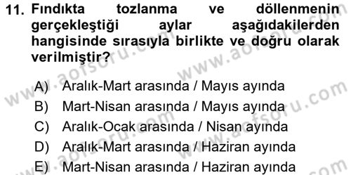 Bahçe Tarımı 2 Dersi 2016 - 2017 Yılı (Vize) Ara Sınav Soruları 11. Soru