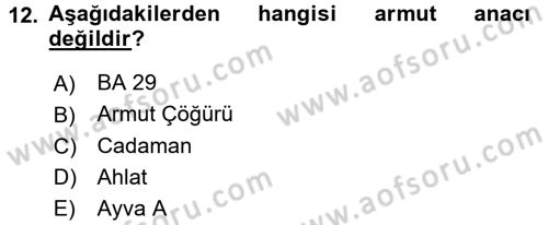 Bahçe Tarımı 2 Dersi 2016 - 2017 Yılı (Vize) Ara Sınav Soruları 12. Soru