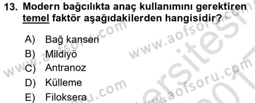 Bahçe Tarımı 2 Dersi 2016 - 2017 Yılı (Vize) Ara Sınavı 13. Soru