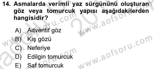 Bahçe Tarımı 2 Dersi 2016 - 2017 Yılı (Vize) Ara Sınav Soruları 14. Soru