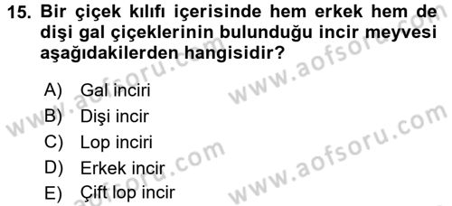 Bahçe Tarımı 2 Dersi 2016 - 2017 Yılı (Vize) Ara Sınav Soruları 15. Soru