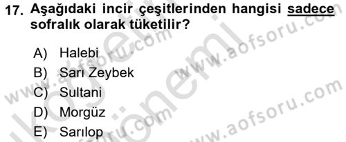 Bahçe Tarımı 2 Dersi 2016 - 2017 Yılı (Vize) Ara Sınav Soruları 17. Soru