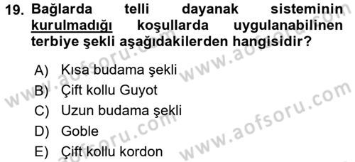 Bahçe Tarımı 2 Dersi 2016 - 2017 Yılı (Vize) Ara Sınav Soruları 19. Soru