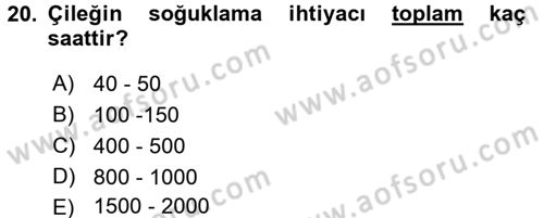 Bahçe Tarımı 2 Dersi 2016 - 2017 Yılı (Vize) Ara Sınav Soruları 20. Soru