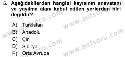 Bahçe Tarımı 2 Dersi 2016 - 2017 Yılı (Vize) Ara Sınav Soruları 5. Soru