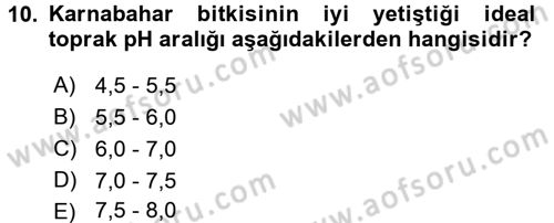 Bahçe Tarımı 2 Dersi 2016 - 2017 Yılı (Final) Dönem Sonu Sınav Soruları 10. Soru