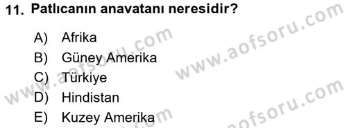 Bahçe Tarımı 2 Dersi 2016 - 2017 Yılı (Final) Dönem Sonu Sınav Soruları 11. Soru