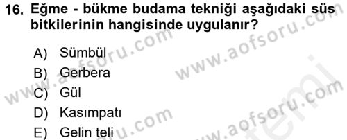 Bahçe Tarımı 2 Dersi 2016 - 2017 Yılı (Final) Dönem Sonu Sınav Soruları 16. Soru