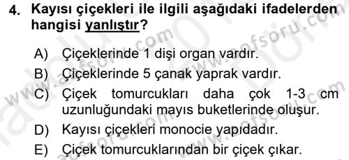 Bahçe Tarımı 2 Dersi 2016 - 2017 Yılı (Final) Dönem Sonu Sınav Soruları 4. Soru