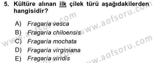 Bahçe Tarımı 2 Dersi 2016 - 2017 Yılı (Final) Dönem Sonu Sınav Soruları 5. Soru