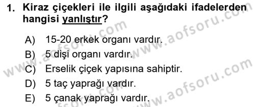 Bahçe Tarımı 2 Dersi 2017 - 2018 Yılı 3 Ders Sınavı 1. Soru