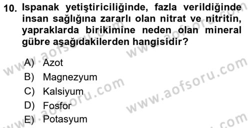 Bahçe Tarımı 2 Dersi 2017 - 2018 Yılı 3 Ders Sınavı 10. Soru