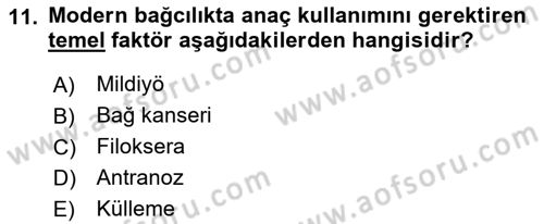 Bahçe Tarımı 2 Dersi 2017 - 2018 Yılı 3 Ders Sınavı 11. Soru