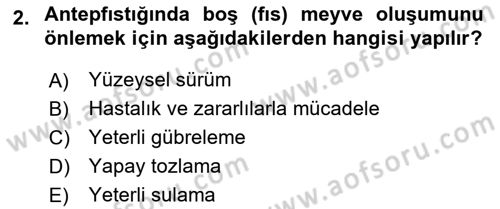 Bahçe Tarımı 2 Dersi 2017 - 2018 Yılı 3 Ders Sınavı 2. Soru