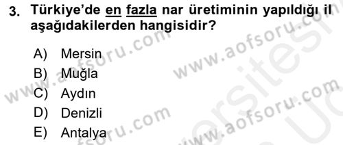 Bahçe Tarımı 2 Dersi 2017 - 2018 Yılı 3 Ders Sınavı 3. Soru