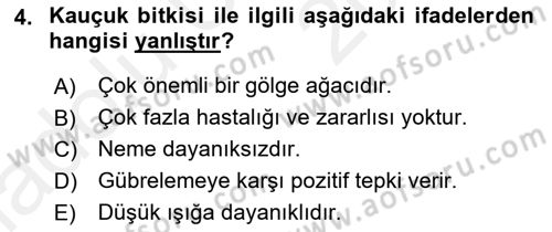 Bahçe Tarımı 2 Dersi 2017 - 2018 Yılı 3 Ders Sınavı 4. Soru