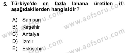 Bahçe Tarımı 2 Dersi 2017 - 2018 Yılı 3 Ders Sınavı 5. Soru