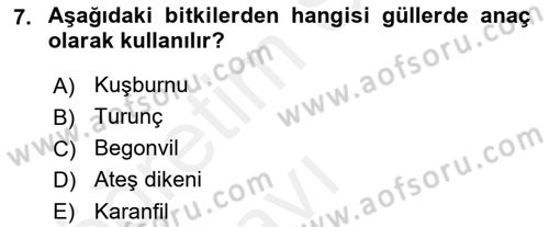 Bahçe Tarımı 2 Dersi 2017 - 2018 Yılı 3 Ders Sınavı 7. Soru