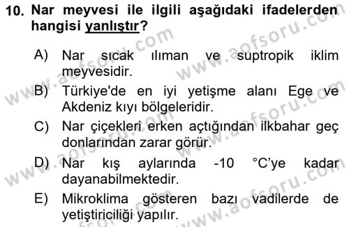 Bahçe Tarımı 2 Dersi 2017 - 2018 Yılı (Vize) Ara Sınav Soruları 10. Soru