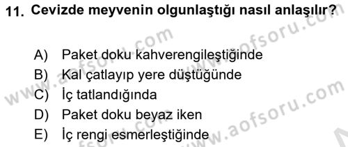 Bahçe Tarımı 2 Dersi 2017 - 2018 Yılı (Vize) Ara Sınav Soruları 11. Soru