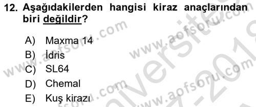 Bahçe Tarımı 2 Dersi 2017 - 2018 Yılı (Vize) Ara Sınav Soruları 12. Soru