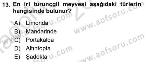 Bahçe Tarımı 2 Dersi 2017 - 2018 Yılı (Vize) Ara Sınav Soruları 13. Soru