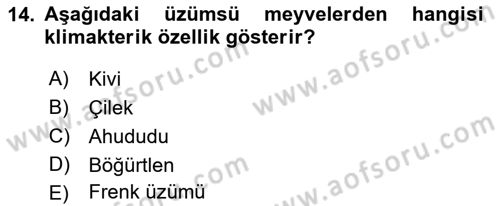 Bahçe Tarımı 2 Dersi 2017 - 2018 Yılı (Vize) Ara Sınav Soruları 14. Soru