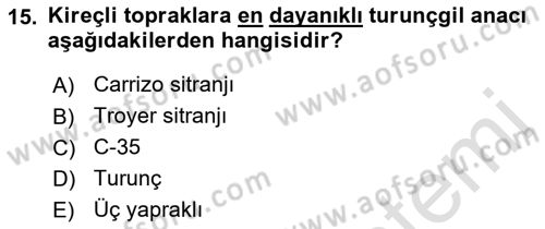 Bahçe Tarımı 2 Dersi 2017 - 2018 Yılı (Vize) Ara Sınav Soruları 15. Soru