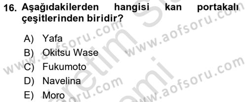 Bahçe Tarımı 2 Dersi 2017 - 2018 Yılı (Vize) Ara Sınav Soruları 16. Soru