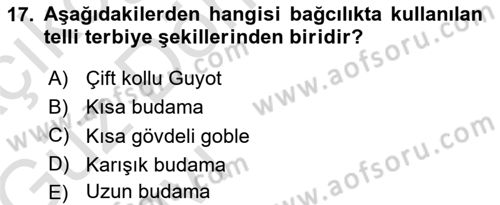 Bahçe Tarımı 2 Dersi 2017 - 2018 Yılı (Vize) Ara Sınav Soruları 17. Soru