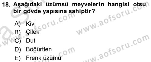 Bahçe Tarımı 2 Dersi 2017 - 2018 Yılı (Vize) Ara Sınavı 18. Soru