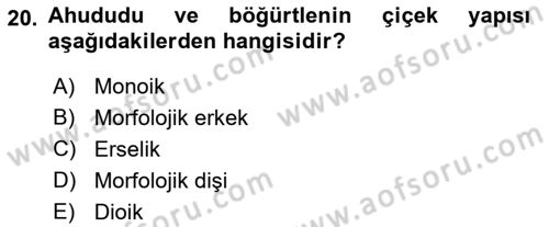 Bahçe Tarımı 2 Dersi 2017 - 2018 Yılı (Vize) Ara Sınavı 20. Soru