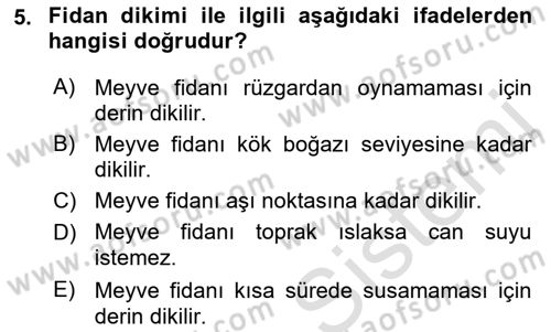 Bahçe Tarımı 2 Dersi 2017 - 2018 Yılı (Vize) Ara Sınav Soruları 5. Soru