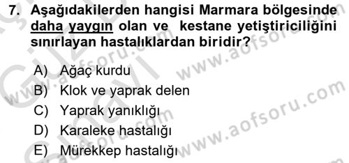 Bahçe Tarımı 2 Dersi 2017 - 2018 Yılı (Vize) Ara Sınavı 7. Soru