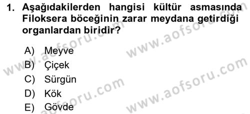 Bahçe Tarımı 2 Dersi 2017 - 2018 Yılı (Final) Dönem Sonu Sınav Soruları 1. Soru