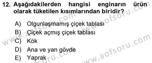 Bahçe Tarımı 2 Dersi 2017 - 2018 Yılı (Final) Dönem Sonu Sınav Soruları 12. Soru