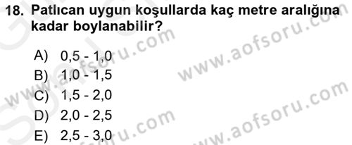 Bahçe Tarımı 2 Dersi 2017 - 2018 Yılı (Final) Dönem Sonu Sınavı 18. Soru