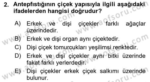 Bahçe Tarımı 2 Dersi 2017 - 2018 Yılı (Final) Dönem Sonu Sınav Soruları 2. Soru