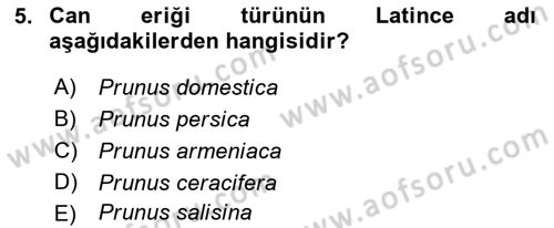 Bahçe Tarımı 2 Dersi 2017 - 2018 Yılı (Final) Dönem Sonu Sınav Soruları 5. Soru