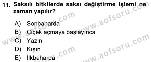 Bahçe Tarımı 2 Dersi 2018 - 2019 Yılı 3 Ders Sınav Soruları 11. Soru