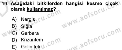 Bahçe Tarımı 2 Dersi 2018 - 2019 Yılı 3 Ders Sınav Soruları 19. Soru