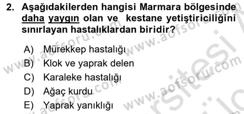 Bahçe Tarımı 2 Dersi 2018 - 2019 Yılı 3 Ders Sınav Soruları 2. Soru