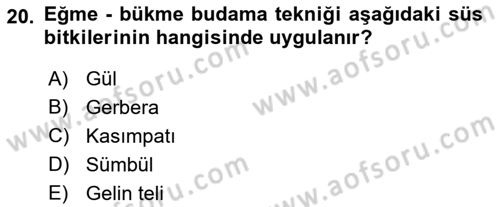 Bahçe Tarımı 2 Dersi 2018 - 2019 Yılı 3 Ders Sınav Soruları 20. Soru