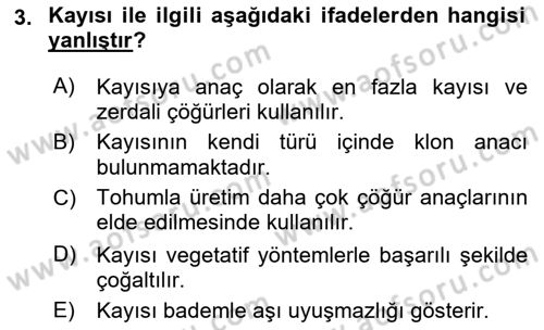 Bahçe Tarımı 2 Dersi 2018 - 2019 Yılı 3 Ders Sınav Soruları 3. Soru