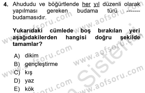 Bahçe Tarımı 2 Dersi 2018 - 2019 Yılı 3 Ders Sınav Soruları 4. Soru