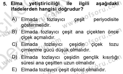 Bahçe Tarımı 2 Dersi 2018 - 2019 Yılı 3 Ders Sınav Soruları 5. Soru