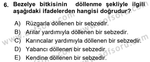 Bahçe Tarımı 2 Dersi 2018 - 2019 Yılı 3 Ders Sınav Soruları 6. Soru